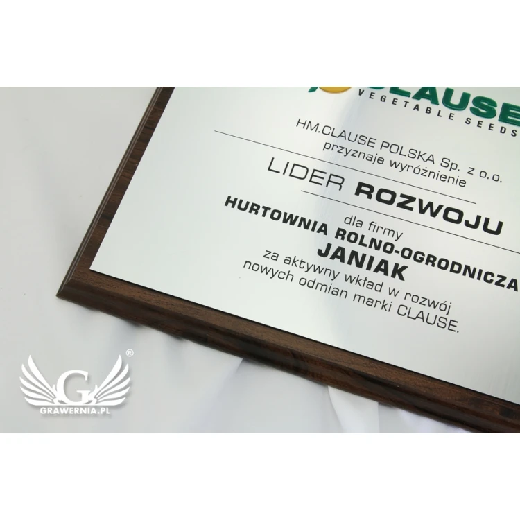 Dyplom grawerowany z wypukłym logo - poziomy - SL044