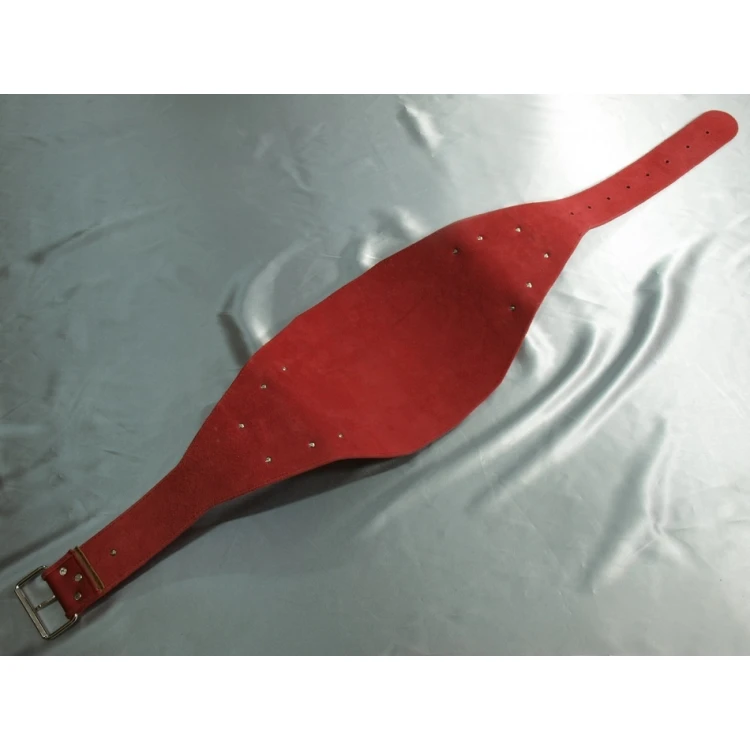 PAS MISTRZOWSKI CHAMPION - MMA - P019