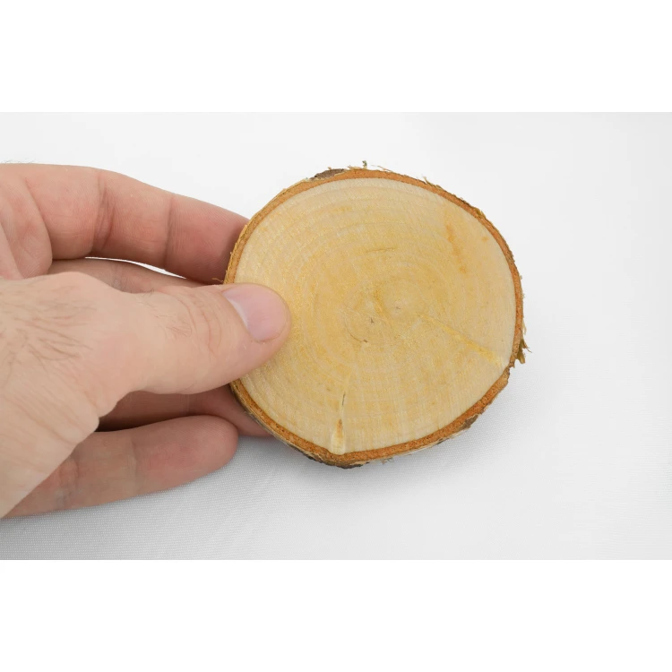 Podziękowanie dla gości - plaster brzozy - PD006