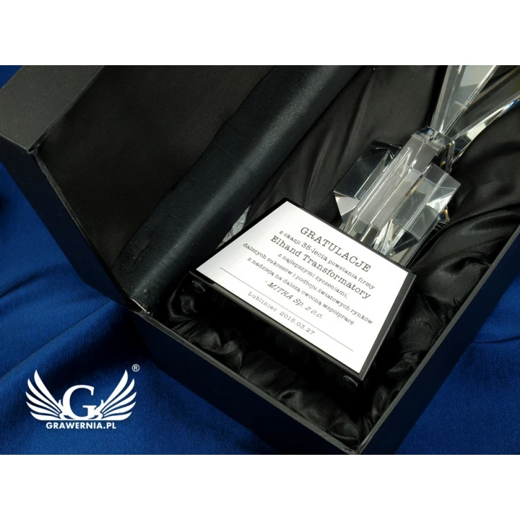 Trofeum szklane w etui - GLOBUS 