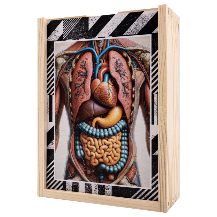Puzzle drewniane anatomia człowieka - wym. 289x206 mm - PZD007