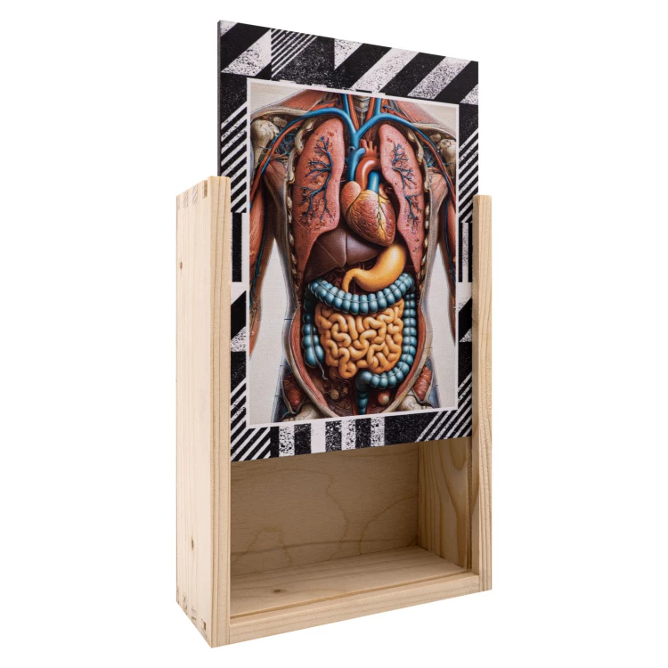 Puzzle drewniane anatomia człowieka - wym. 289x206 mm - PZD007