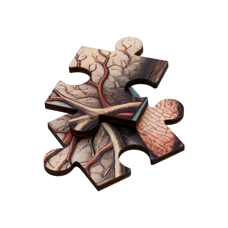 Puzzle drewniane anatomia człowieka - wym. 289x206 mm - PZD006